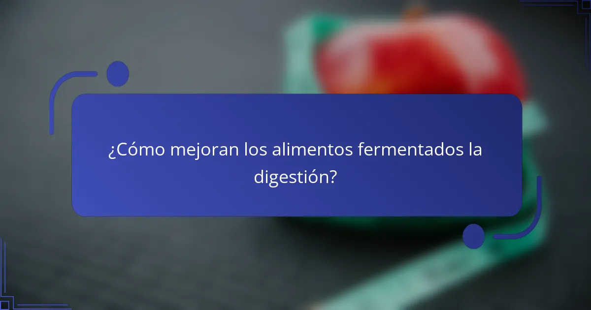 ¿Cómo mejoran los alimentos fermentados la digestión?