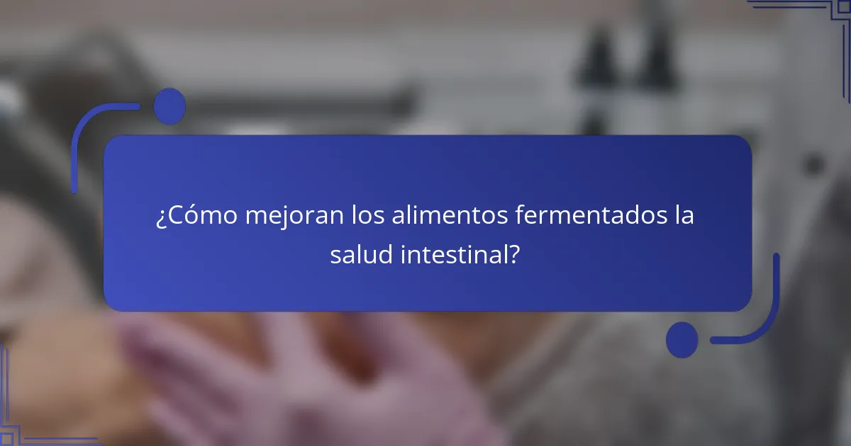 ¿Cómo mejoran los alimentos fermentados la salud intestinal?