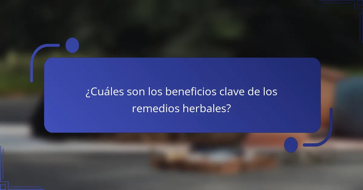 ¿Cuáles son los beneficios clave de los remedios herbales?