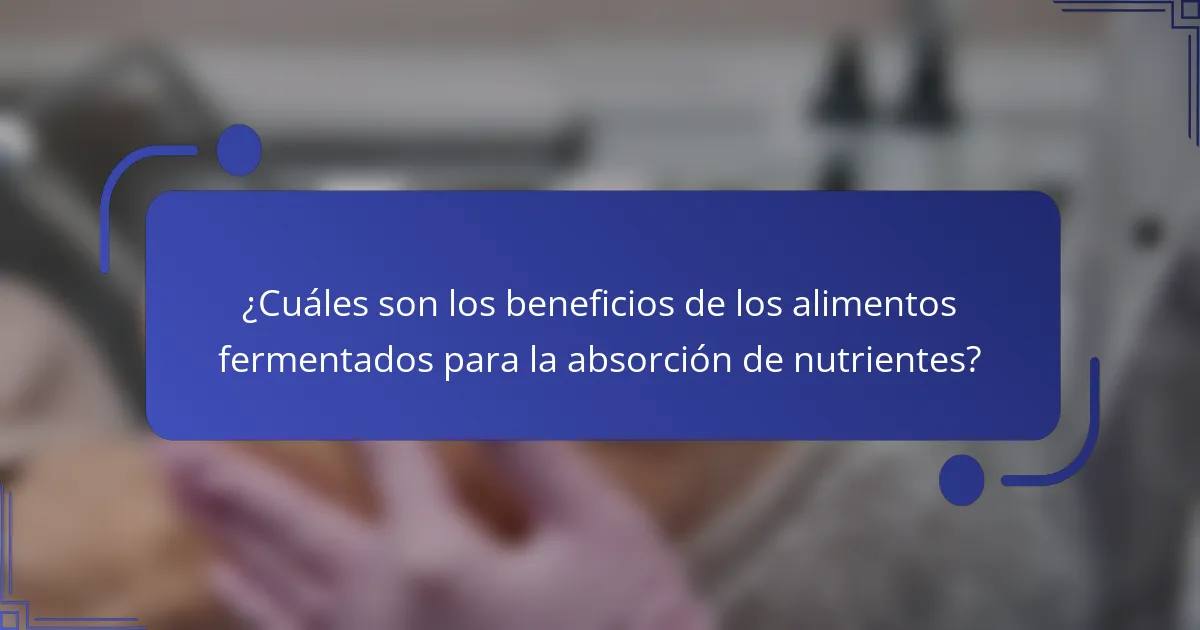 ¿Cuáles son los beneficios de los alimentos fermentados para la absorción de nutrientes?