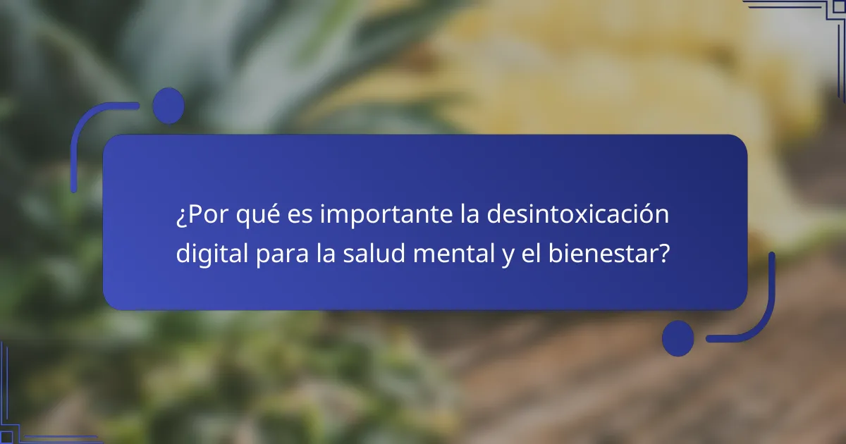 ¿Por qué es importante la desintoxicación digital para la salud mental y el bienestar?