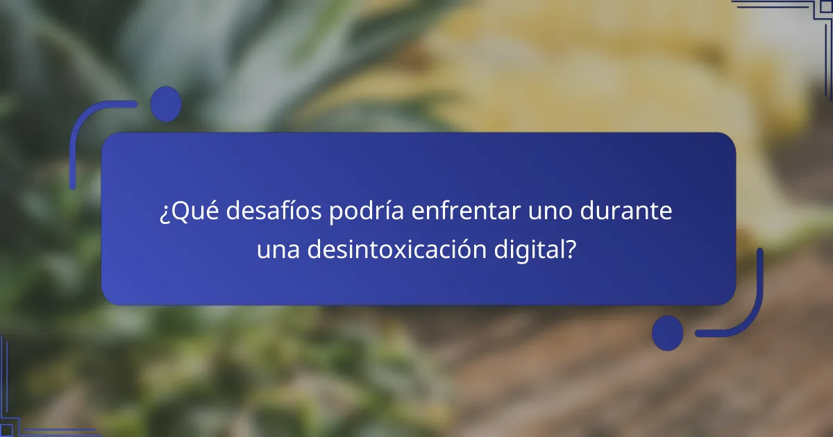 ¿Qué desafíos podría enfrentar uno durante una desintoxicación digital?